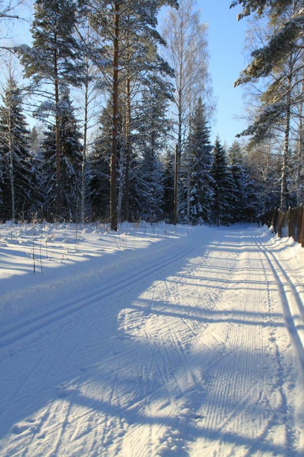 Villa Pankkotupa 16-B Punkaharju Exterior foto