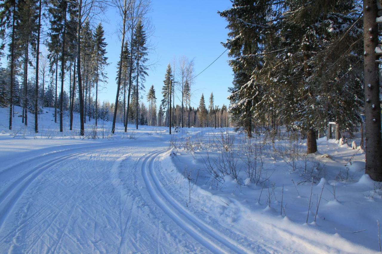 Villa Pankkotupa 16-B Punkaharju Exterior foto
