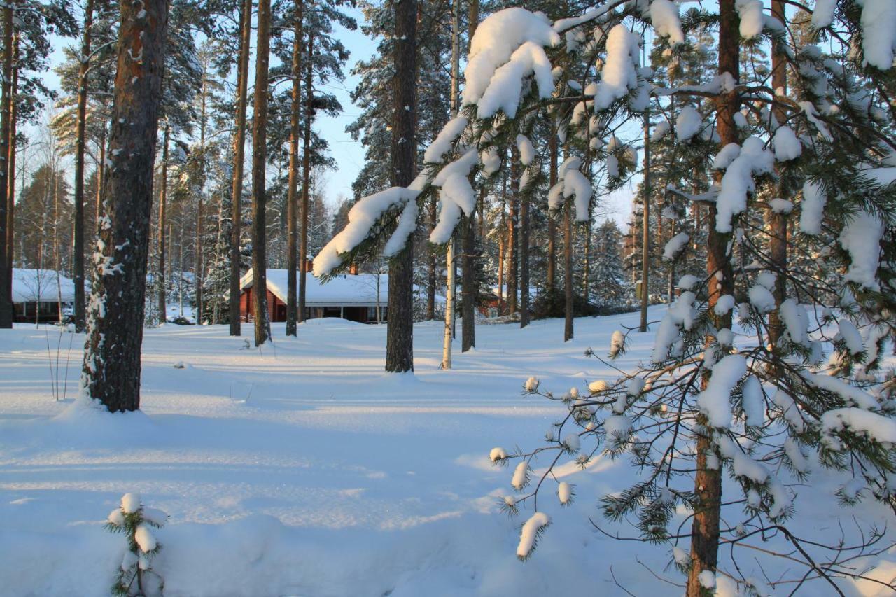 Villa Pankkotupa 16-B Punkaharju Exterior foto